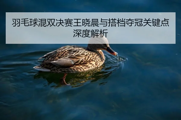 羽毛球混双决赛王晓晨与搭档夺冠关键点深度解析